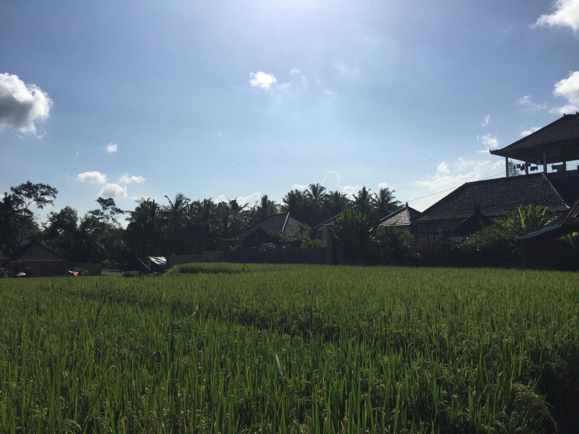 Ratna Villa Ubud  Room photo