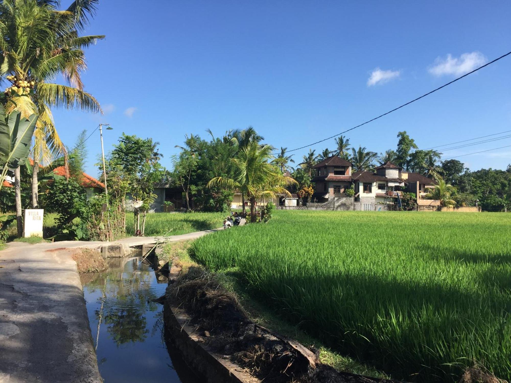 Ratna Villa Ubud  Room photo